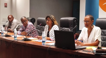 La Commission Exécutive (COMEX) du GIP-MDPH